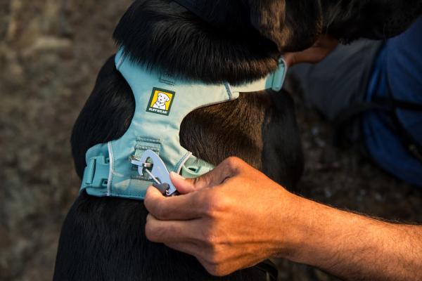 Ruffwear Front Range Geschirr River Rock Green Gr. M